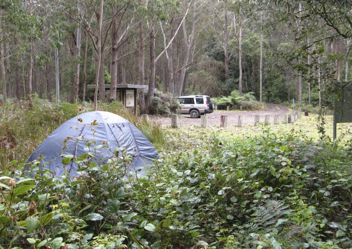 Youngville Campground in Mount Royal National Park - Credit: Susan Davis | DPE